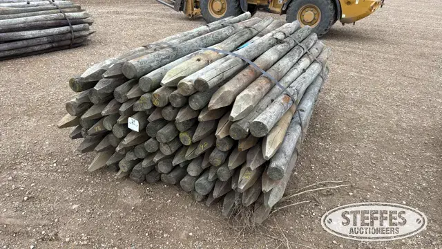 (98) Wood posts
