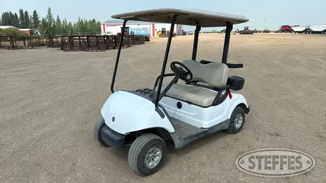 2008 Yamaha YDRE
