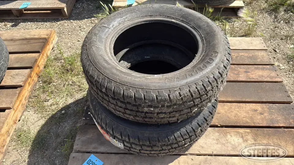 (2) Cooper Weather Master 215/65R15 tires Passenger-Light Truck Tire