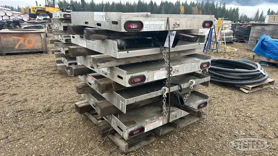 (5) Site 20/20 Construction Support Item