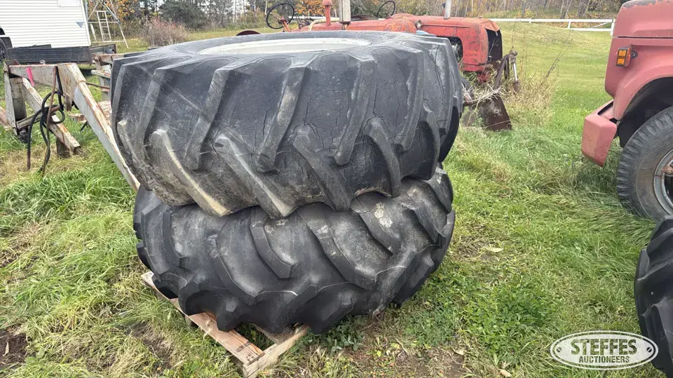 Firestone 23.1-30 Tractor-Implement Tire