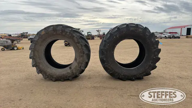 (2) Trelleborg TM900 900/60R42 tires