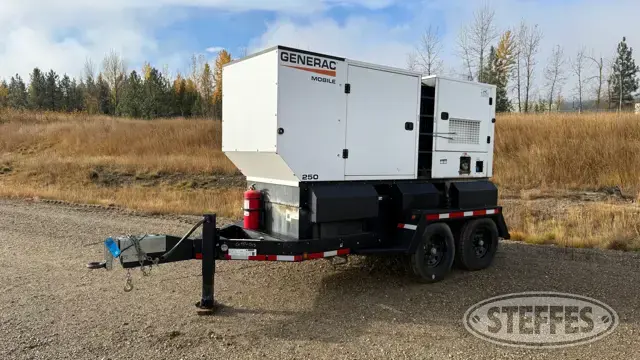 2021 Generac MDG250DF4
