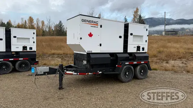 2021 Generac MDG250DF4