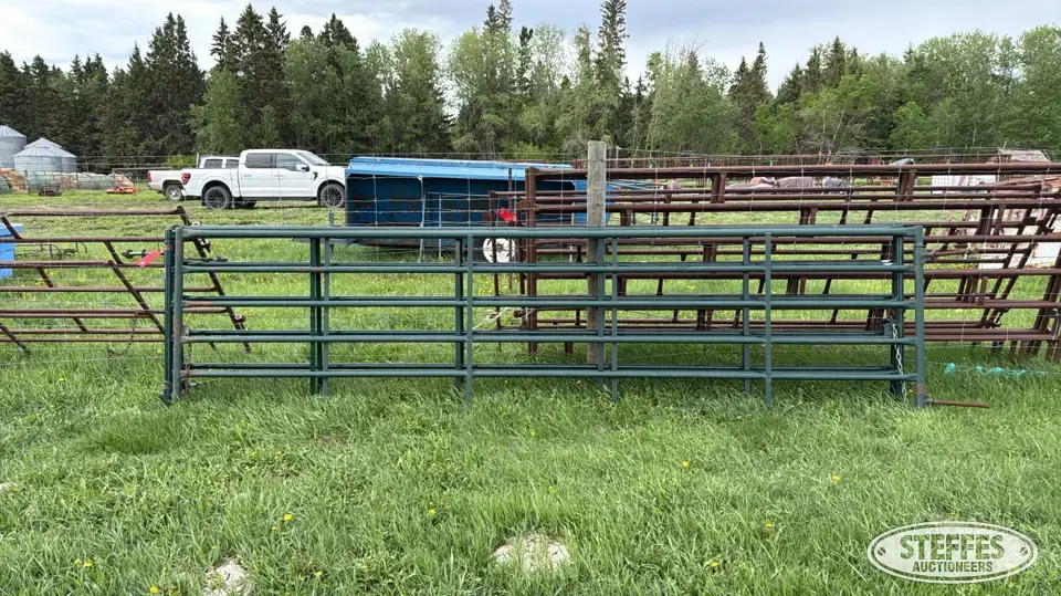 (3) Hi-Hog 630 corral gates Livestock Handling