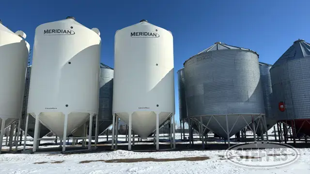 Meridian MGM4000