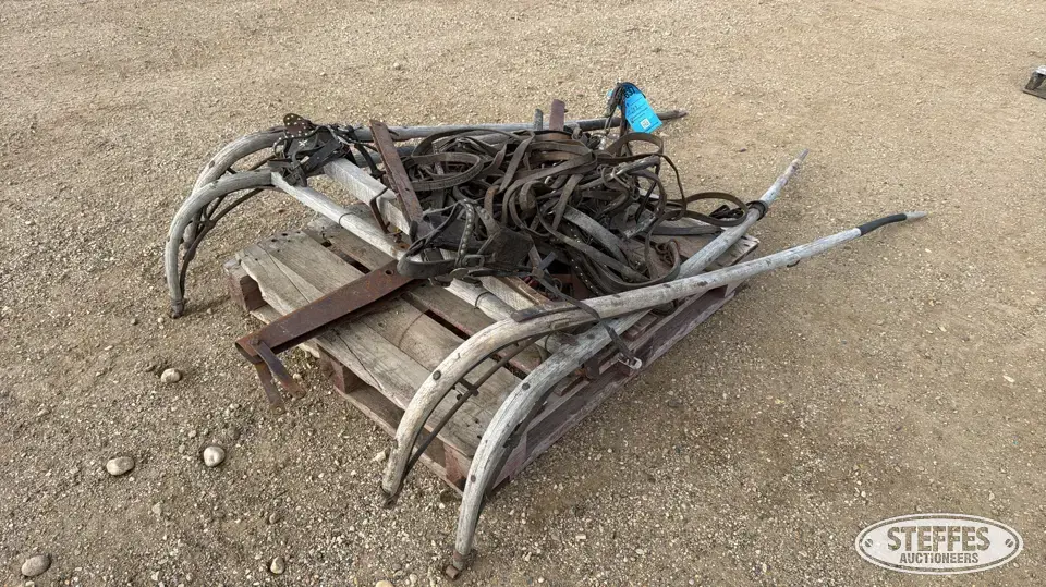 Horse harness Horse Drawn