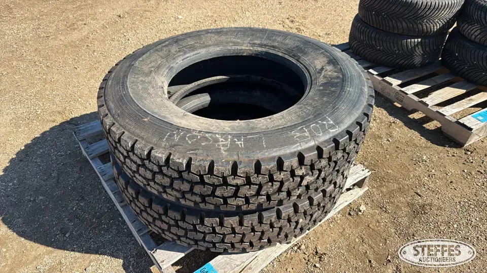 (2) Bridgestone 11R22.5 tires Truck Tire