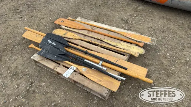 (11) Oars