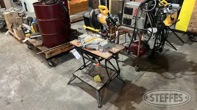 DeWalt DW703