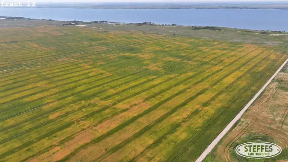 TRACT 19: Farmland