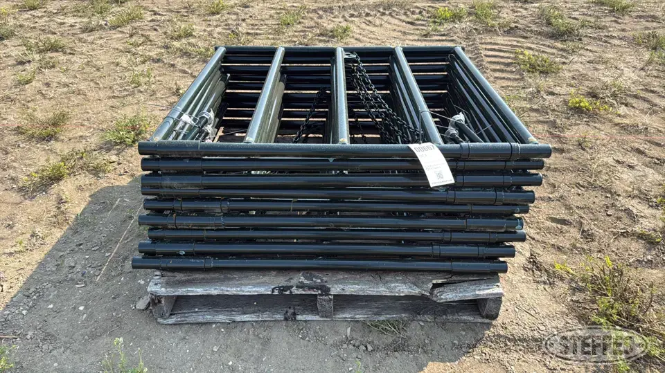 (9) BYT Ranch gates Livestock Handling