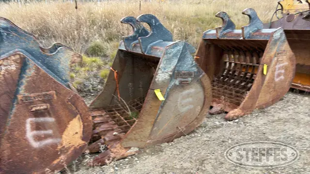 WBM excavator skeleton bucket