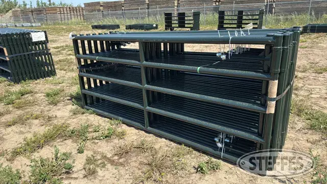 (16) BYT HD Magnum gates