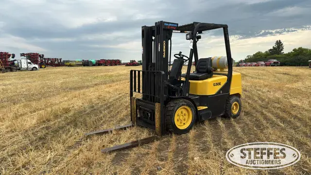 Doosan G30E-3