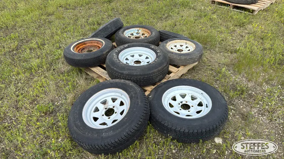 (8) Tires Passenger-Light Truck Tire