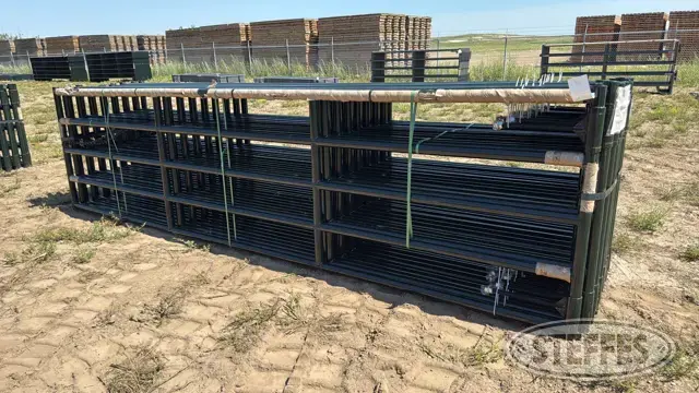 (16) BYT HD Magnum gates