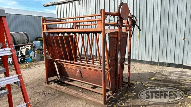 Cattle squeeze chute