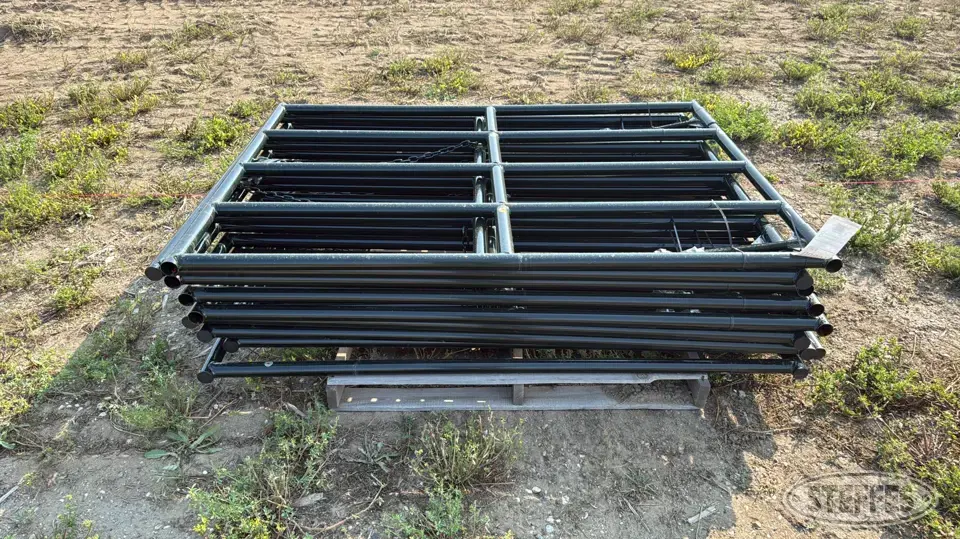 (9) BYT Ranch gates Livestock Handling