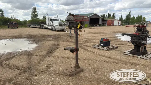 Canadian Buffalo 18
