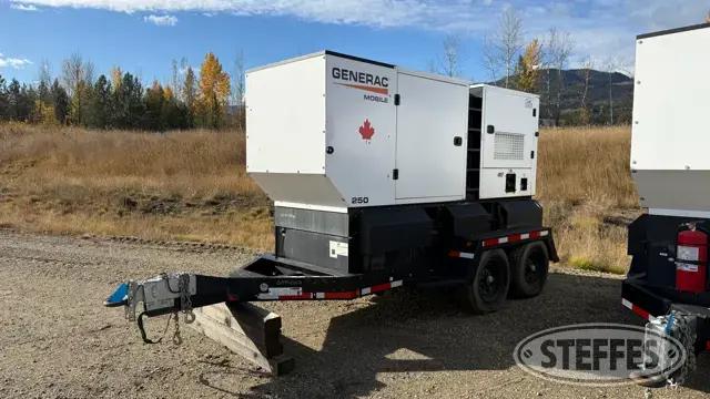 2021 Generac MDG250DF4