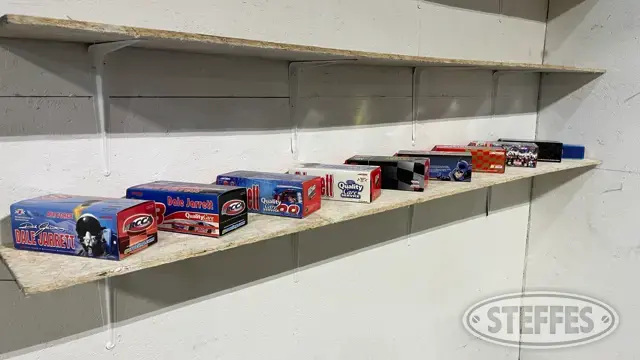 (10) Diecast collectible race cars