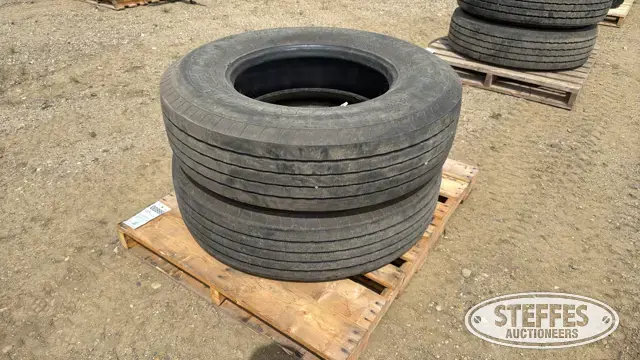 (2) Michelin XZA2 295/80R22.5 tires