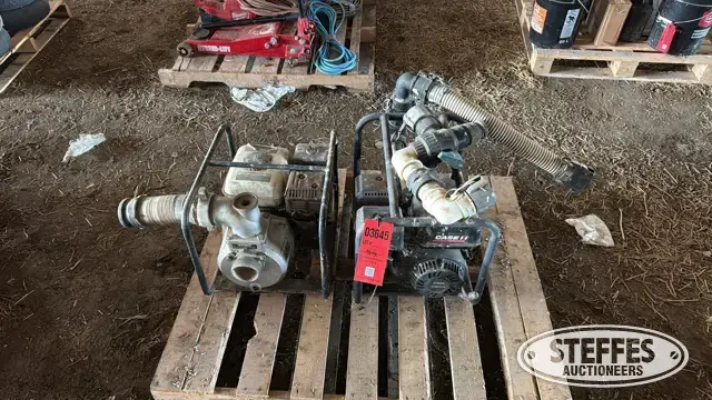 (2) Water pumps