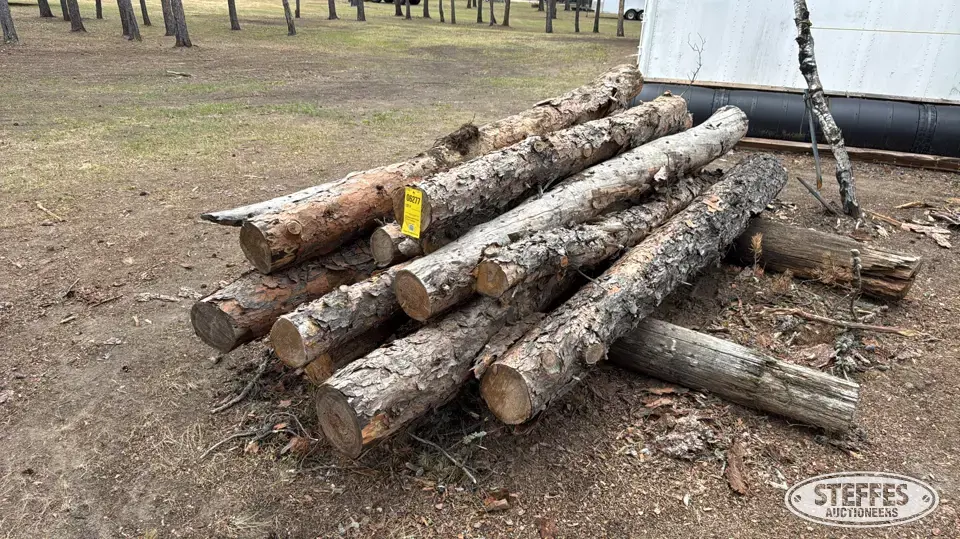 (12) Spruce logs Construction Support Item