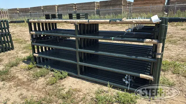 (16) BYT HD Magnum gates