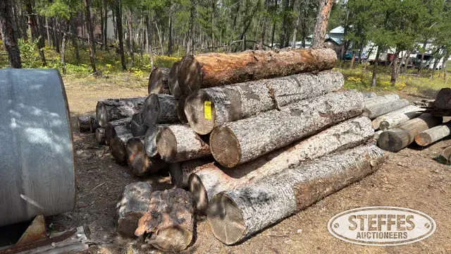 (22) White spruce saw logs