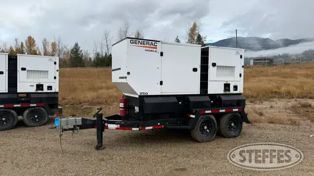 2021 Generac MDG250DF4