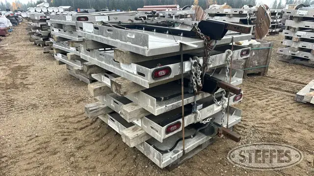 (5) Site 20/20