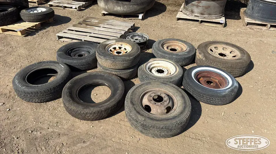 (10) Light truck tires Passenger-Light Truck Tire