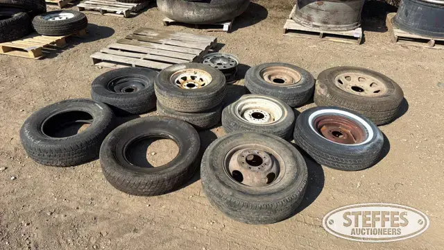 (10) Light truck tires