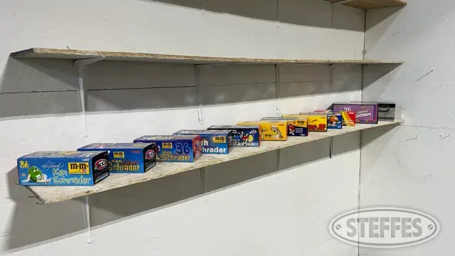 (12) Diecast collectible race cars