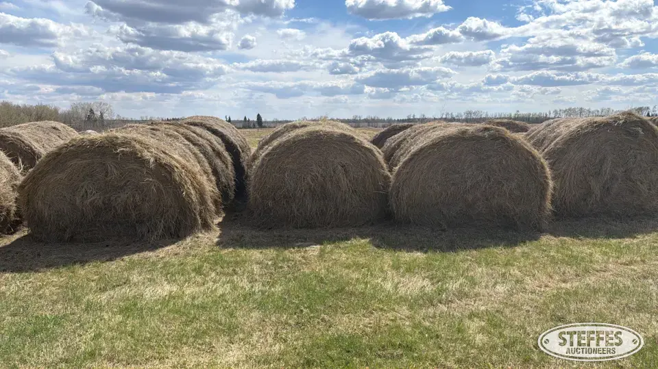 (30 bales) 5x6 round Forage