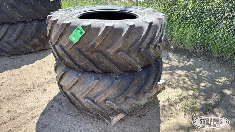 (2) Michelin 540/65R30 tires Tractor-Implement Tire