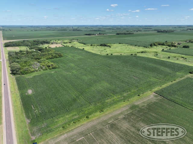Cottonwood County, MN Land Auction - 151± Acres - SOLD!!!