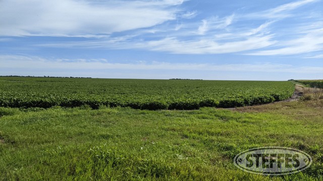 Cass County, ND Land Auction - 163± Acres - SOLD!!