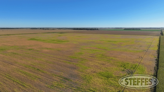 Cass County, ND Land Auction - 160± Acres