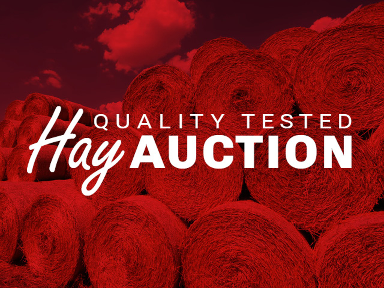 Steffes Group Online Hay Auction Quality Tested