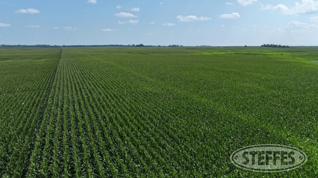 Sargent County, ND Land Auction - 160± Acres