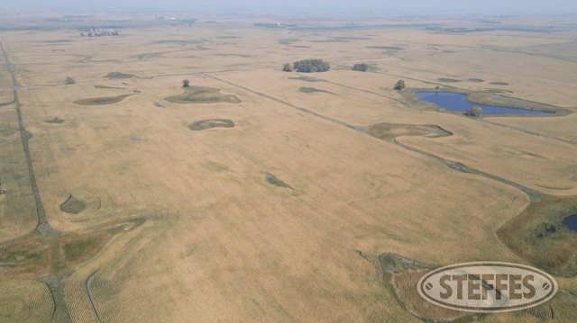 Sargent County, ND Land Auction - 160± Acres - SOLD!!