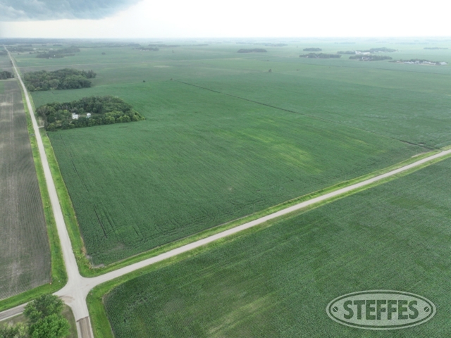 Chippewa County, MN Land Auction - 379± Acres - SOLD!!!