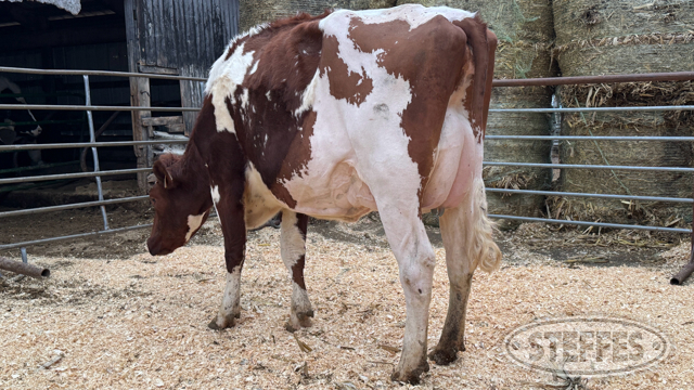 Biercrest Farms Dairy Cattle Auction