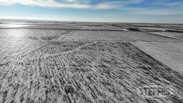 Clay County, MN Land Auction - 40± Acres