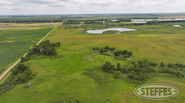 Steele County, ND Land Auction - 80± Acres