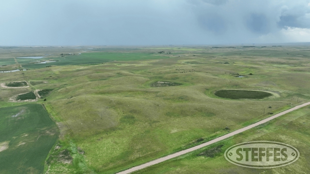 Ward County, ND Land Auction - 320± Acres