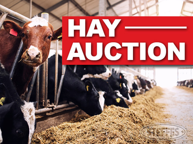 Online Hay Auction - Quality Tested